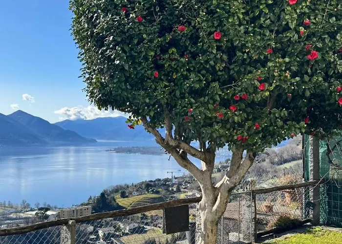 Casa Reto - Das Ferienhaus Im Tessin