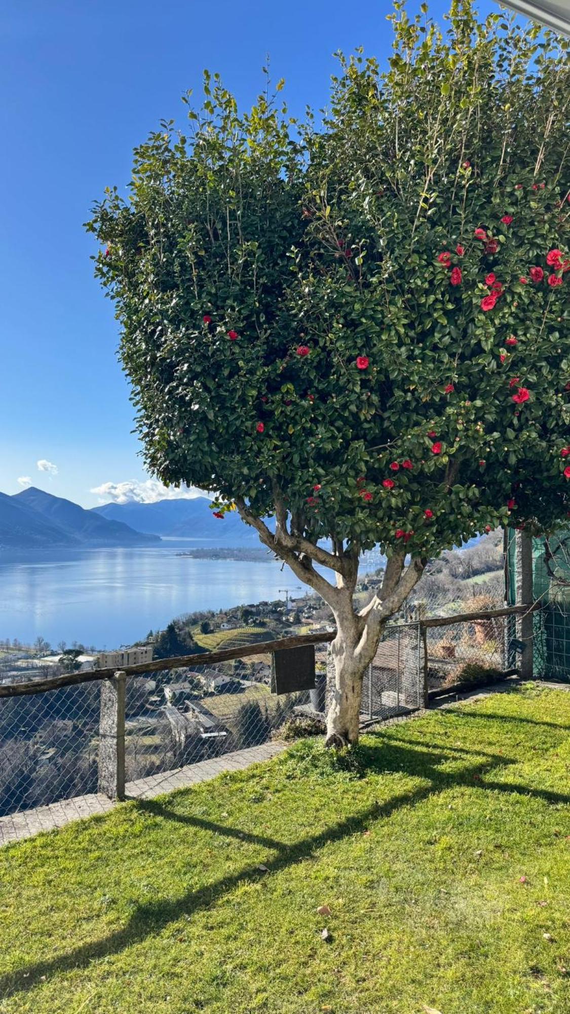 Casa vacanze Casa Reto - Im Tessin *