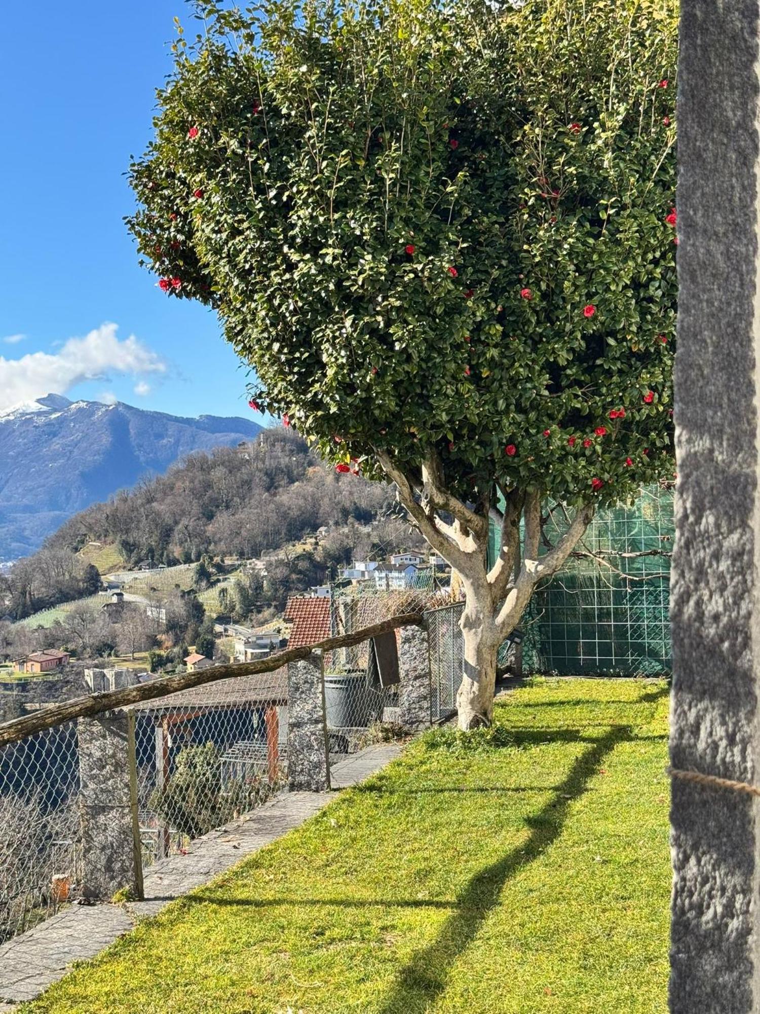 Casa Reto - Im Tessin Gordola