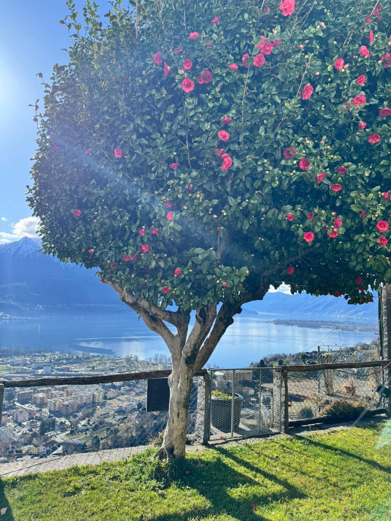 Casa Reto - Im Tessin Casa vacanze *